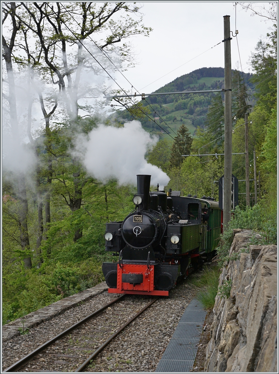 Die SEG G 2x 2/2 105 der Blonay-Chamby Bahn ist kurz nach  vers-chez-Robert  auf der Fahrt nach Chamby. 

24. Mai 2021