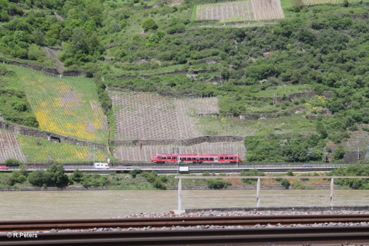 Eine zweiteilige  Hamsterbacke  BR 442 auf der Linken Rheinstrecke. 07.05.15