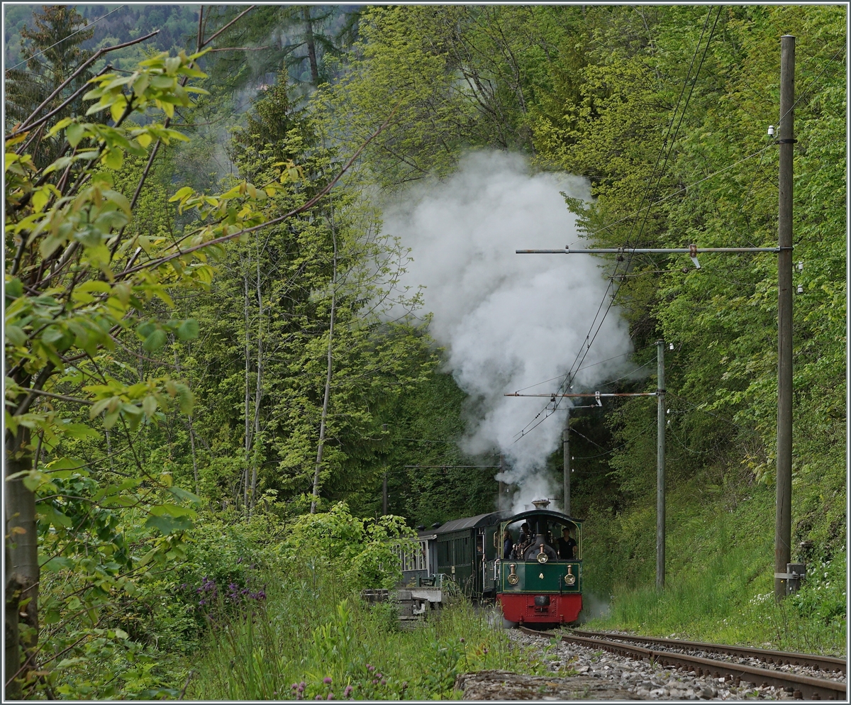 Festival Suisse de la vapeur (Schweizer Dampffestival 2023) - Die beiden kleinen Dampfloks G 2/2 N° 4  Rimini  und G 3/3 N° 5 mühen sich kurz nach Chaulin mit einem Zug in Richtung Chamby ab. 

24. Mai 2023