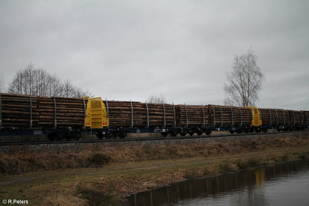GigaWood Holztransportwagen