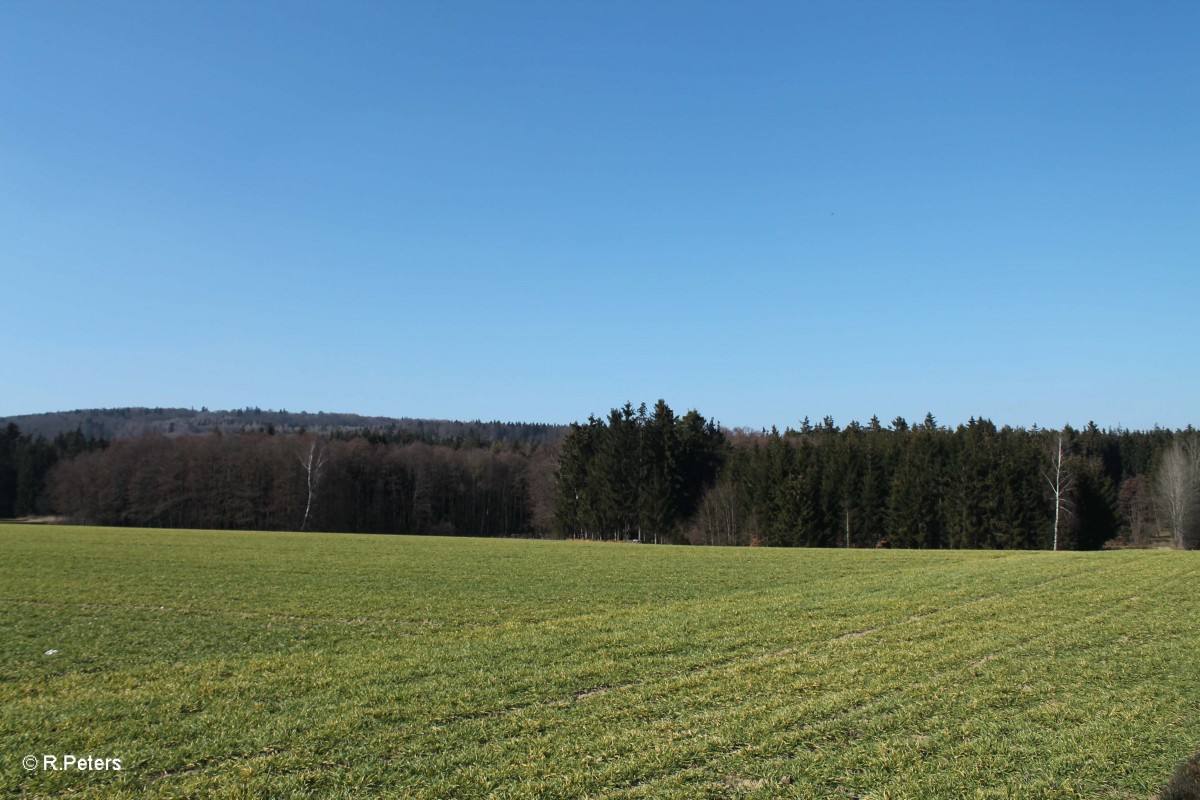 Landschaftsfoto bei Oberteich