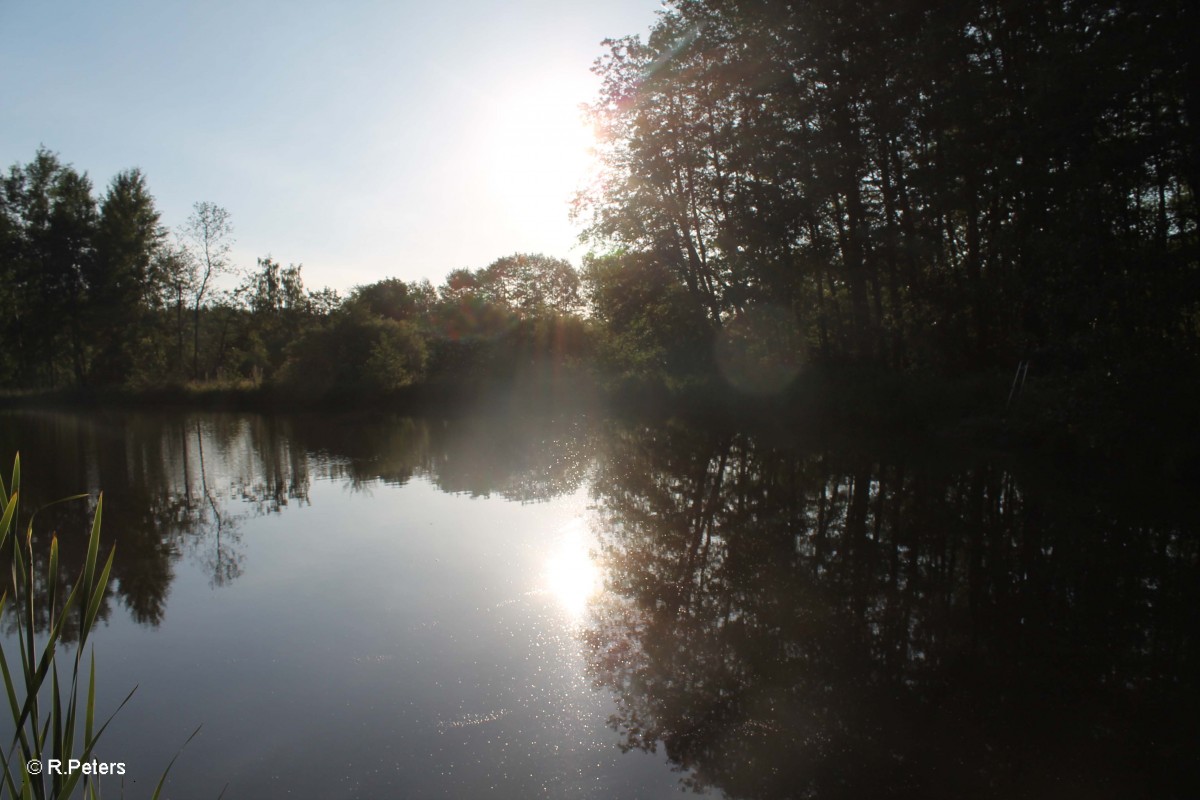 Morgens bei Oberteich. 17.06.15