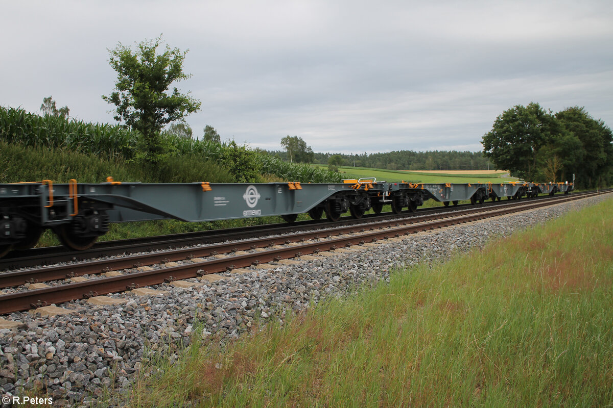 Nageneue Containerwagen von Ermewa