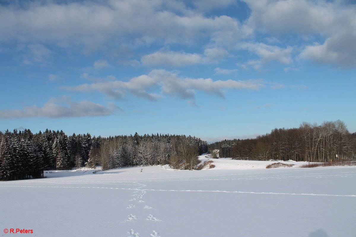 Oberteich am 17.01.17