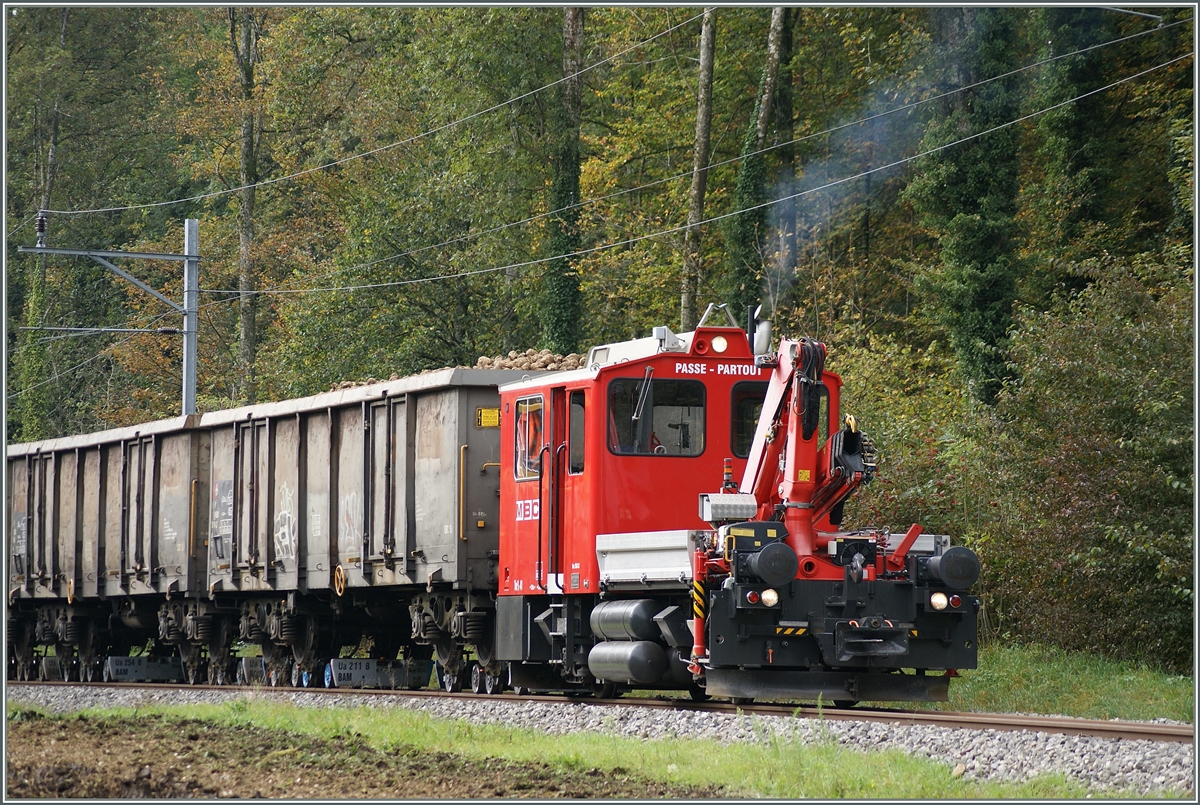 Tm 2/2 N� 41 der BAM beim Zuckerr�benverlad auf freier Streckee  der BAM zwischen Apples und Pampigny-S�very. 10. Okt. 2014