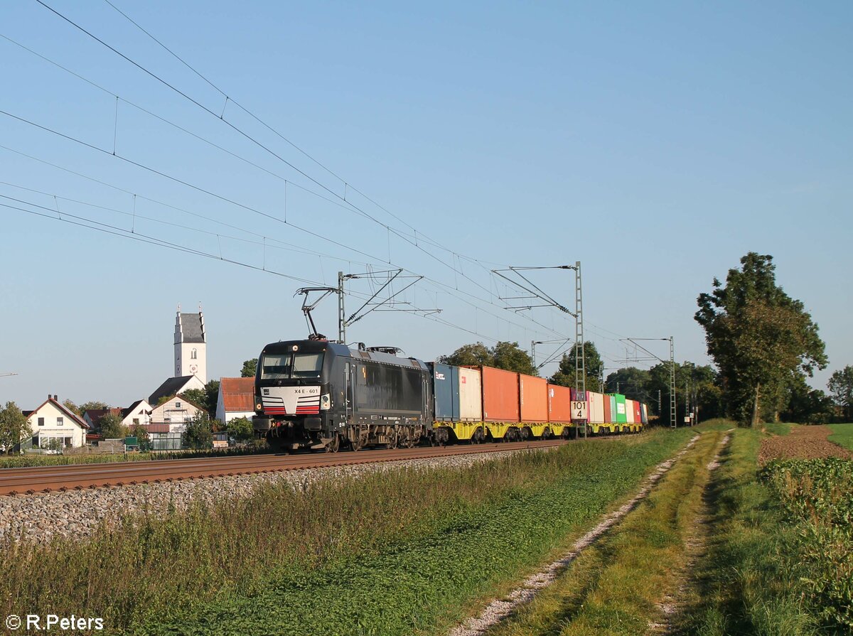 X4E 601 alias 193 601 mit einem Containerzug bei Moosham in Richtung Nürnberg. 25.09.21