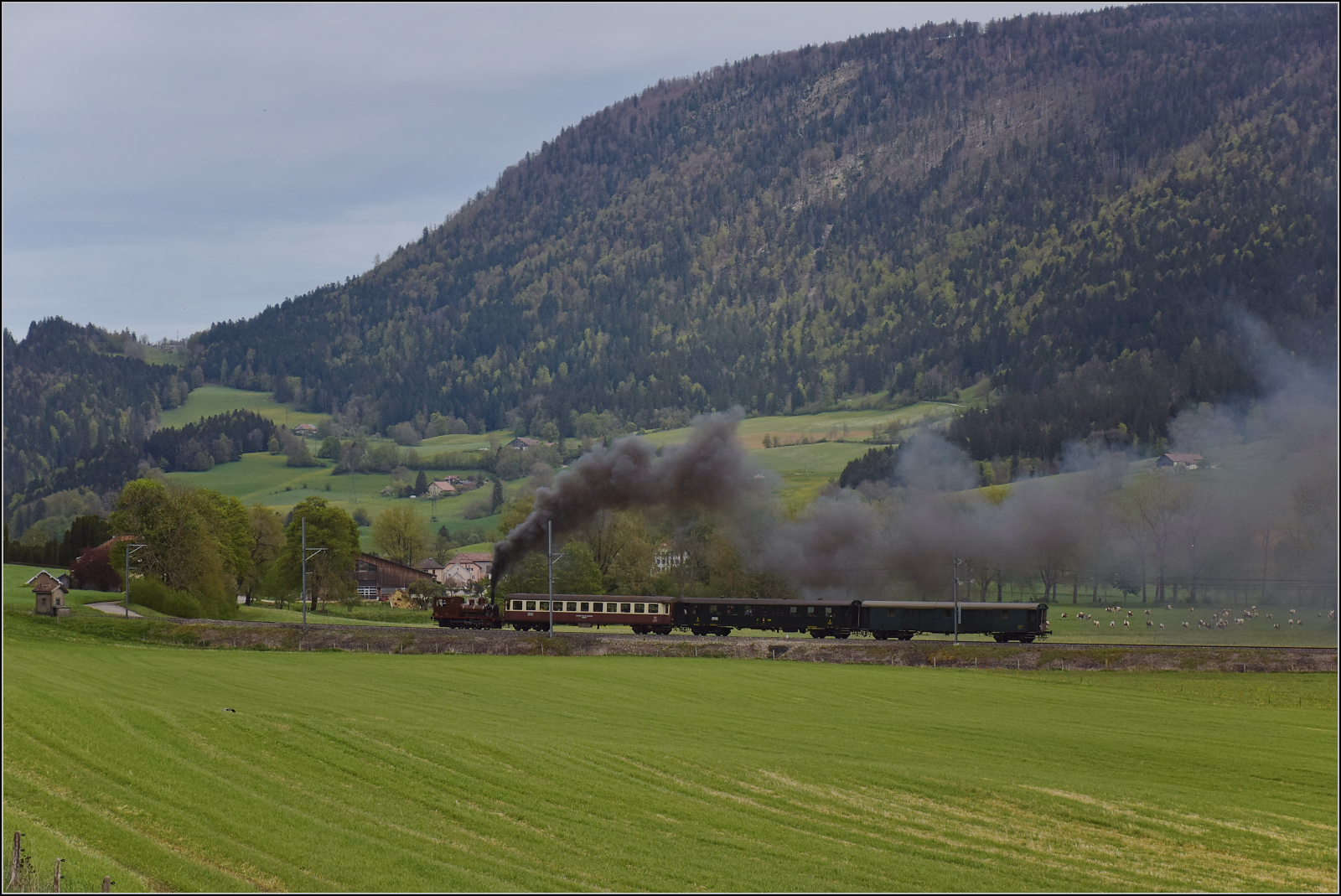 Train du Terroir.

E 3/3 5811 bei La Presta. Mai 2024.