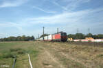 1293 012 ziet mit einem ekol Zug durch Mainz Bischofsheim Netztrennstelle. 01.09.24