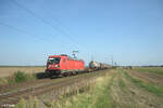187 139 zieht ein gemischten Güterzug bei Frankenthal. 01.09.24