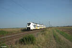 463 525 als S6 38608 Meckesheim - Wiesbaden HBF bei Frankenthal. 01.09.24