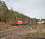 233 698-0 mit Militärzug aus Parsberg auf dem Weg nach Nürnberg in Ochenbruck.21.03.24