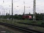 298 336-9 muss in Frankfurt/Oder am Roten Signal warten.