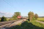 152 106-1 zieht bei Pölling ein Autotransportzug gen Norden. 14.05.24