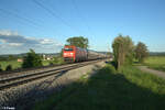 152 106-1 zieht bei Pölling ein Autotransportzug gen Norden. 14.05.24