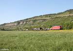 185 254-0 zieht mit einem gemischten Güterzug bei Thüngersheim gen Süden.