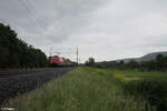 BR 185/871539/185-239-1-mit-einem-gemischten-gueterzug 185 239-1 mit einem gemischten Güterzug bei Thüngersheim. 18.05.24