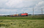 185 258-1 zieht vor Uffenheim ein Containerzug in Richtung Süden. 27.05.24