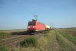 185 038-7 zieht bei Frankenthal ein gemischten Güterzug im Gegengleis. 01.09.24