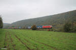 185 009-8 zieht bei Wernfeld ein langen gedeckten Güterzug in Richtung Norden. 20.10.24