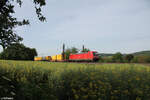 187 160-7 mit dem DHL Containerzug bei Himmelstadt. 11.05.24