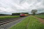 187 200-1 zieht bei Retzbach-Zellingen mit einem DHL-Containerzug gen Süden. 18.05.24