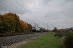 193 364  I am European  zieht den Rover Autotransportzug aus Heygeshalom nach Achen West bei Thüngersheim. 20.10.24