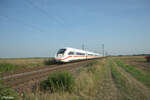0812 086 als ICE 275 Frankfurt/Main - Interlaken Ost bei Frankenthal. 01.09.24