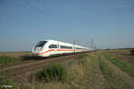 0812 086 als ICE 275 Frankfurt/Main - Interlaken Ost bei Frankenthal. 01.09.24
