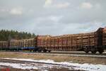 Holztransportwagen der HVLE und CLR