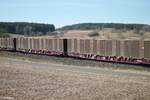 XL Containerwagen von Rail Release