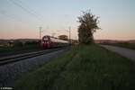 442 810 als RE50 58428 Regensburg - Nürnberg bei Pölling.