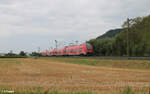 1462 033 als RE 20 4787 Würzburg - Bamberg - Nürnberg bei Zeil am Main. 11.08.24