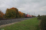 440 306-9 als RB 53 58044 Würzburg - Gemünden bei Thüngersheim. 20.10.24