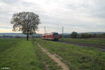 440 801/301 als RB53 58024 Würzburg - Gemünden kurz hinter Retzbach-Zellingen. 21.10.24