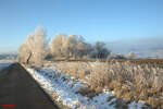 Sonne Frost Impressionen. 29.12.24