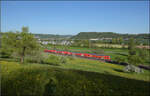 Ade Dieselloch am Hochrhein.

245 006 mit einer Dostogarnitur bei Dogern. April 2026.