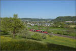 Ade Dieselloch am Hochrhein.

644 041 bei Dogern. April 2026.