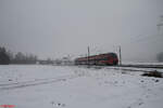 442 268 als S2 nach Altdorf bei Winkelhaid. 09.12.23