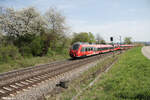 BR 442/853905/442-607-442-306-als-s1 442 607+ 442 306 als S1 S39152 Neumarkt/Oberpfalz - Bamberg bei Pölling. 07.04.24