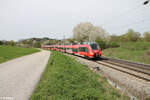 BR 442/853906/442-233--442-xxx-als 442 233 + 442 xxx als S1 S39143 Bamberg - Neumarkt/Oberpfalz bei Pölling. 07.04.24