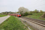 BR 442/853912/442-250-als-s1-39151-erlangen 442 250 als S1 39151 Erlangen - Neumarkt/Oberpfalz bei Pölling. 07.04.24