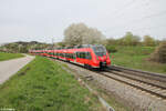 BR 442/853913/442-250-als-s1-39151-erlangen 442 250 als S1 39151 Erlangen - Neumarkt/Oberpfalz bei Pölling. 07.04.24