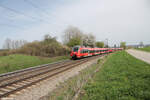 BR 442/853919/442-767-als-s1-39162-neumarktoberpfalz 442 767 als S1 39162 Neumarkt/Oberpfalz - Bamberg bei Pölling in der Kurve 07.04.24