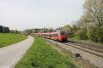 BR 442/853920/442-224-als-s1-39153-forchheim 442 224 als S1 39153 Forchheim - Neumarkt/Oberpfalz bei Pölling. 07.04.24