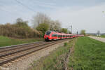 BR 442/854428/442-736-als-s1-39170-neumarktoberpfalz 442 736 als S1 39170 Neumarkt/Oberpfalz - Fürth bei Pölling. 07.04.24