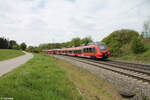 BR 442/855791/nachschuss-auf-442-234-1-als-s1 Nachschuss auf 442 234-1 als S1 S39158 bei Pölling. 28.04.24