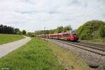 BR 442/855799/nachschuss-auf-442-809-0-als-s1 Nachschuss auf 442 809-0 als S1 S39164 Neumarkt/Oberpfalz - Bamberg bei Pölling.28.04.24