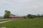 BR 442/855805/442-235-als-s1-s39168-neumarktoberpfalz 442 235 als S1 S39168 Neumarkt/Oberpfalz - Bamberg bei Pölling. 28.04.24