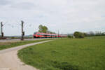 BR 442/855806/442-235-als-s1-s39168-neumarktoberpfalz 442 235 als S1 S39168 Neumarkt/Oberpfalz - Bamberg bei Pölling. 28.04.24