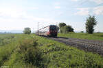 442 104 als S1 39126 Neumarkt/Oberpfalz - Bamberg bei Pölling.